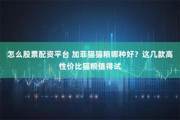 怎么股票配资平台 加菲猫猫粮哪种好？这几款高性价比猫粮值得试