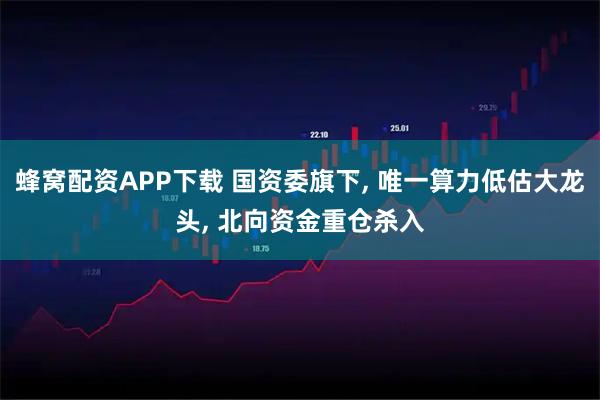 蜂窝配资APP下载 国资委旗下, 唯一算力低估大龙头, 北向资金重仓杀入